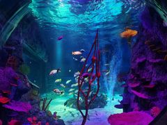 -沈阳海洋探索中心