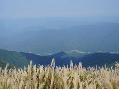 -大围山国家森林公园