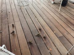 -Takapuna Beach Cafe