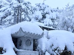 -黄山白云宾馆
