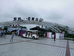 -紫颐香薰山谷景区