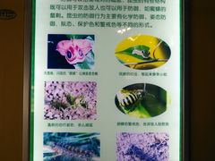 -上海昆虫博物馆