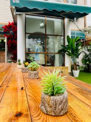 -瞳孔摄影(植物园路店)