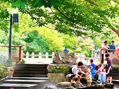 -活水公园