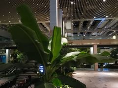 -仁恒美食庭苑(仁恒海河广场店)