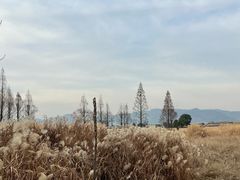 -良渚古城遗址公园