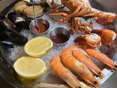 -Oasis Bar & Grill