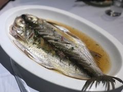 -老阊门菜馆(山塘街店)