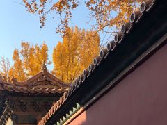 -姚记炒肝店(簋街店)