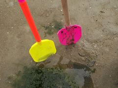 -北海金海湾红树林生态旅游区