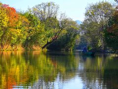 -西溪国家湿地公园