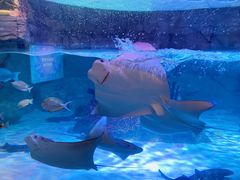 -沈阳海洋探索中心