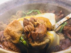 渝君鸡煲-渝君重庆火锅(嘉宾路店)