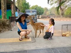 -清迈夜间动物园