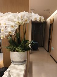 -Yestar杭州艺星医疗美容医院