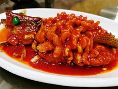 -协和菜馆(凤凰街店)