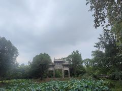 -西溪国家湿地公园