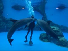 -广东省拱北口岸中国旅行社(华宾营业部)