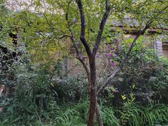 -驿舍·民國老营房院子私房菜(科学会堂店)