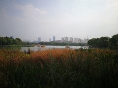 -洛阳市隋唐城遗址植物园