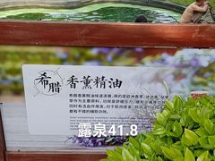 -东海森林温泉