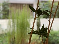 -Kekimatata 生日蛋糕·烘焙教学