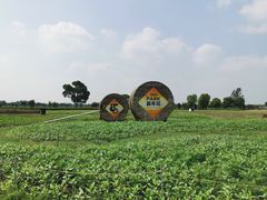 -嘉北郊野公园