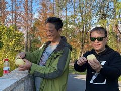 -上海长兴岛郊野公园