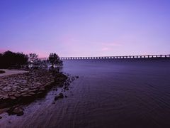 -宝安西湾红树林湿地公园