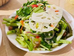 -闫家驴肉老店(华电一校店)