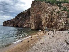 -海驴岛(荣成市)