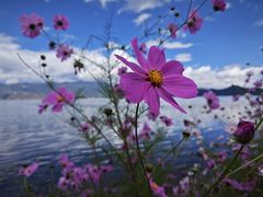 -丽江泸沽湖景区