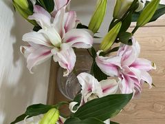 -循礼门鲜花花市(武汉循礼门店)