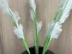 -极光口腔·矫正种植修复(锦江店)