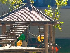 -石家庄市动物园