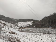 -武陵山森林公园