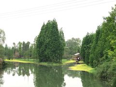 -桤木河湿地公园