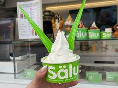 -Salud撒露欧洲冻酸奶(蓝色港湾店)