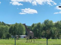 -哈尔滨北方森林动物园