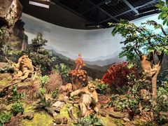 -陕西自然博物馆