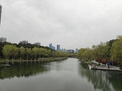 -天鹅湖体育公园