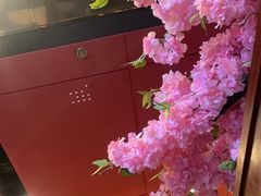 -HIHE Bistro·Oyster Bar(华熙live店)