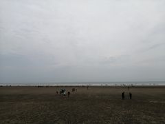 -江山半岛白浪滩景区