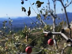 -蟠龙山长城景区