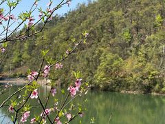 -桃花岭景区