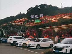 -枇杷园食为鲜火锅(南山店)