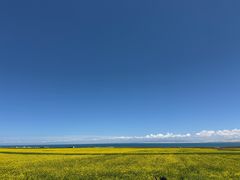 -青海湖国家重点风景名胜区