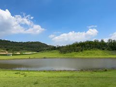 -日照海滨国家森林公园