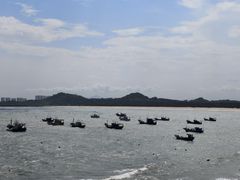 -漳州滨海火山岛自然生态风景区