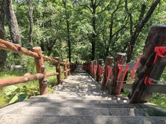 -塔云山